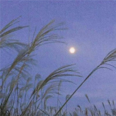 2021微信网名经典男最成熟的 最有魅力的男生微信昵称