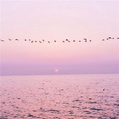 2019微信网名经典男生三个字帅气 最能撩妹的男生微信名字大全.jpg