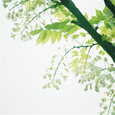 给女朋友微信名字备注名称有深意特别的 给女朋友起个微信备注起什么好.jpg