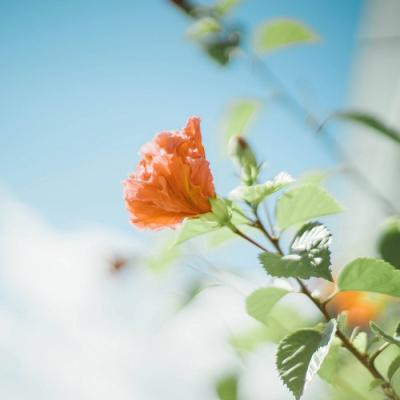 微信网名独一无二的那种女生可爱 最迷人最可爱的快手女生网名.jpg