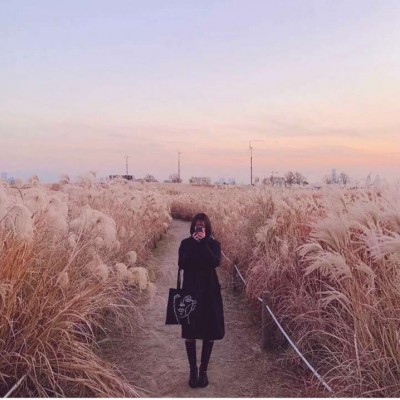 七夕情侣网名一男一女可爱秀恩爱 2021微信最新最浪漫的情侣名字一对