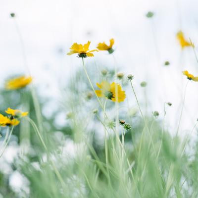 2021微信网名经典男潇洒帅气 微信昵称男生一辈子都不换