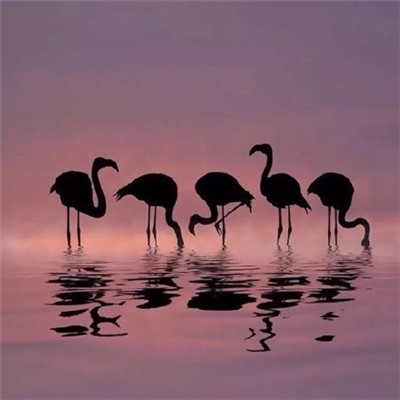 2021最新女生微信网名甜美又可爱 一身仙女味