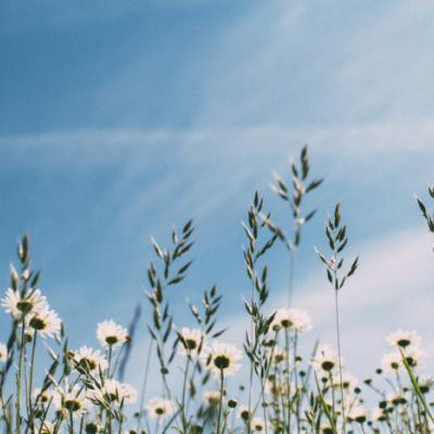 2021女生简短伤感网名精选 一路荒凉如歌